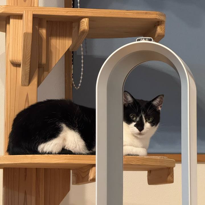 Fe89f8c5 7419 4c05 80a5 42eacf224099 1759064765626