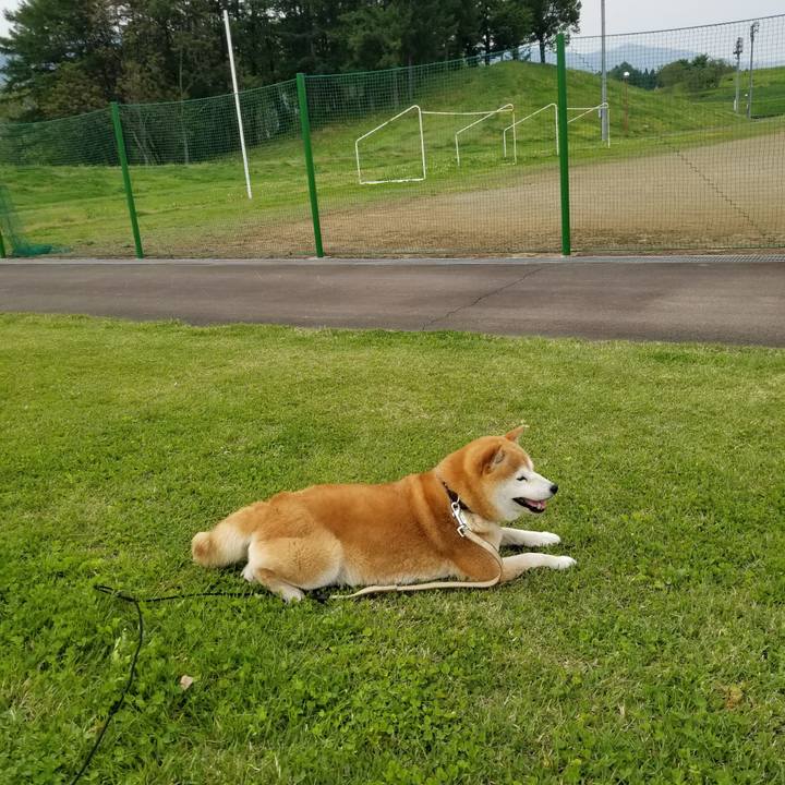 Fe8a09e1 ca61 46bd 9ca2 3702e398026a 1653028399696