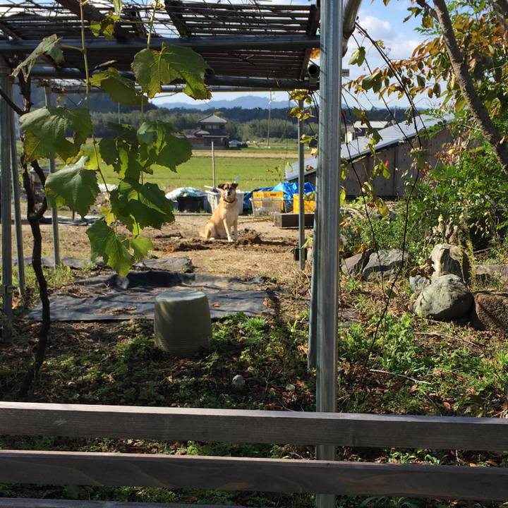 Fe8a1a52 8620 424a 8585 e227fdda4441 1509441886268