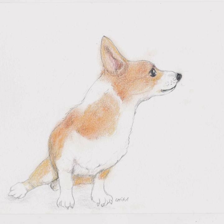 Fe8a1da0 caf9 4961 a7f0 75d6b9a707c2 1572526608862