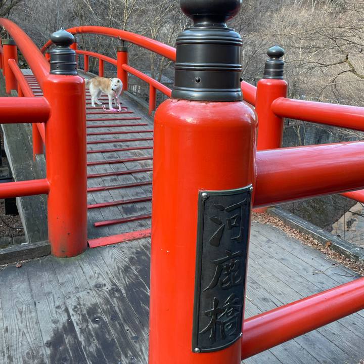 Fe8a2308 55d9 4653 af8e 1a09a6b9df61 1640897078799