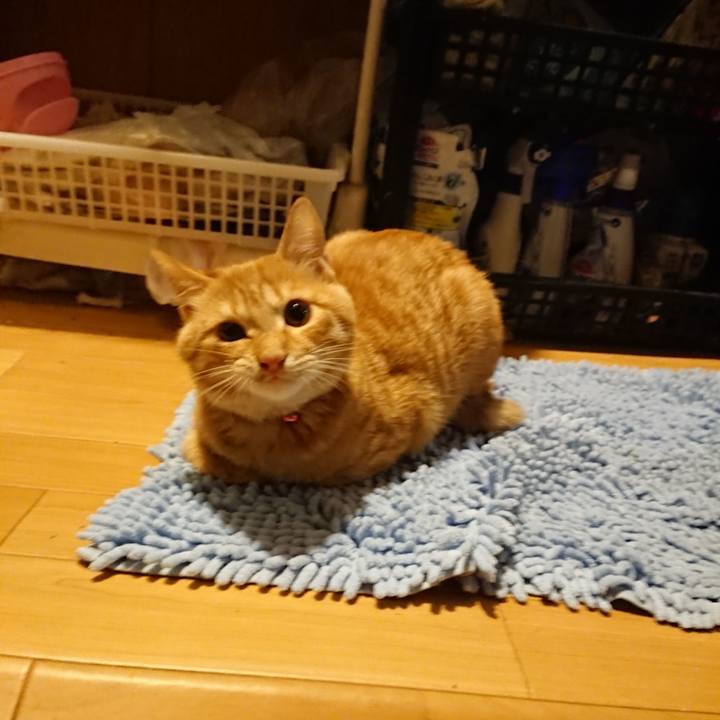 Fe8a50d3 69fe 4981 b5df 3cb79789be91 1636541068978