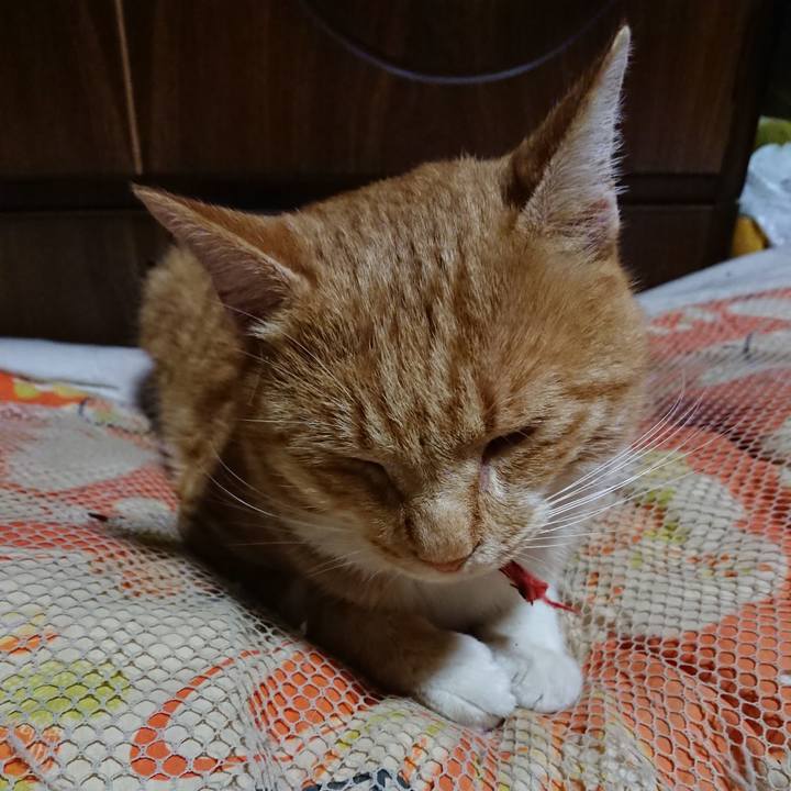 Fe8a6559 4a25 4fda b0c0 49b06b37f66c 1573130141977