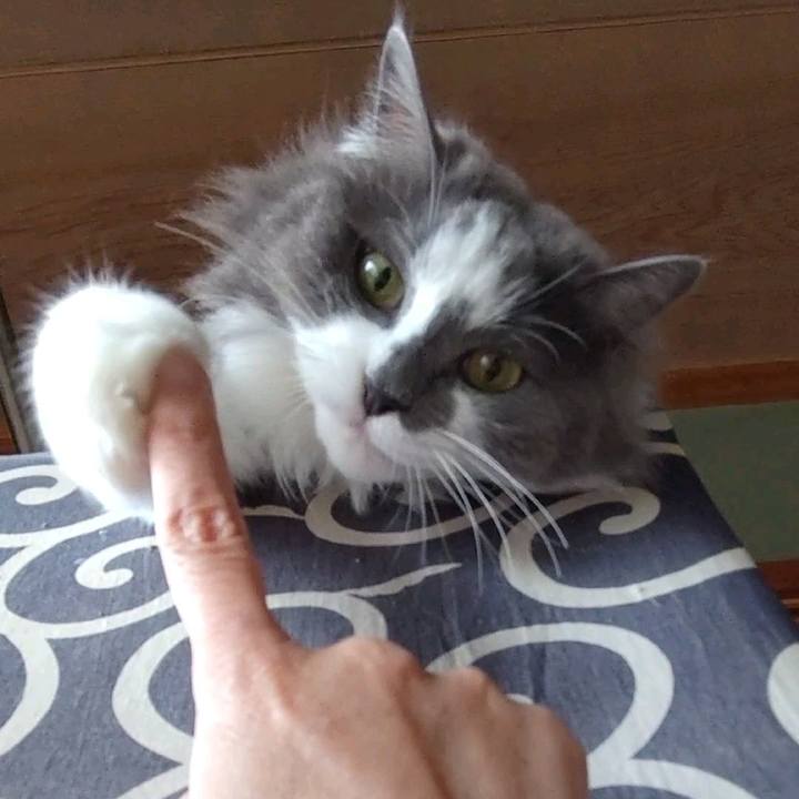 Fe8a676b 9d1d 4d79 998c 295b2beeac0e 1655969967888