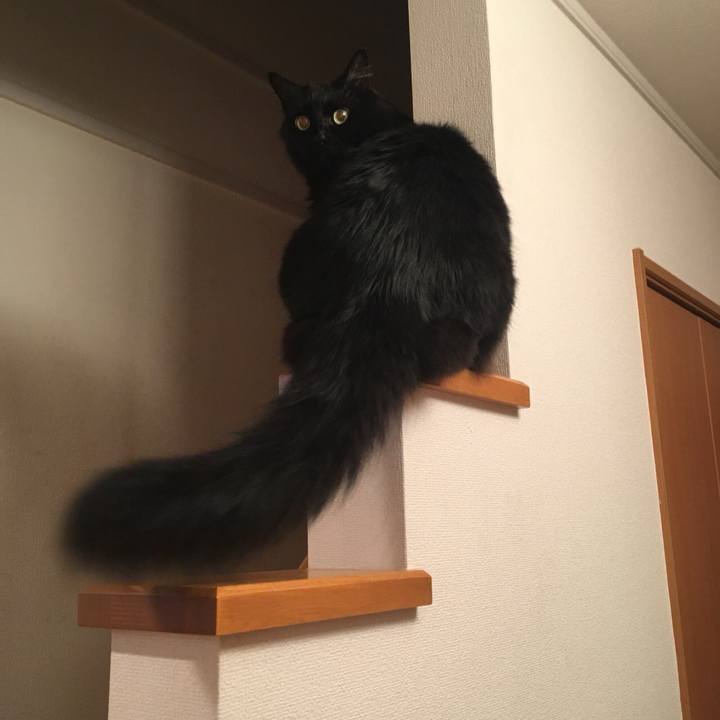 Fe8a8b20 750a 4ce1 8871 55b8afccabd5 1530114491878