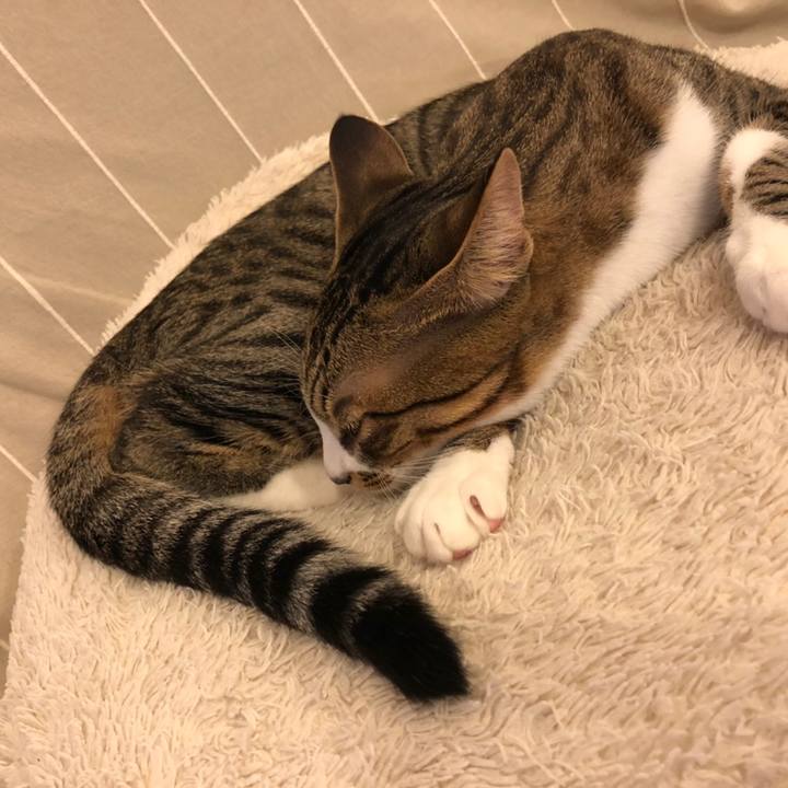 Fe8a9375 fa87 4c24 9699 cfaad3eefefb 1602241855366