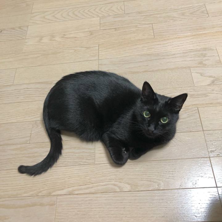 Fe8aa27e 6f5d 4297 bb3f 7915537abc60 1637586005799