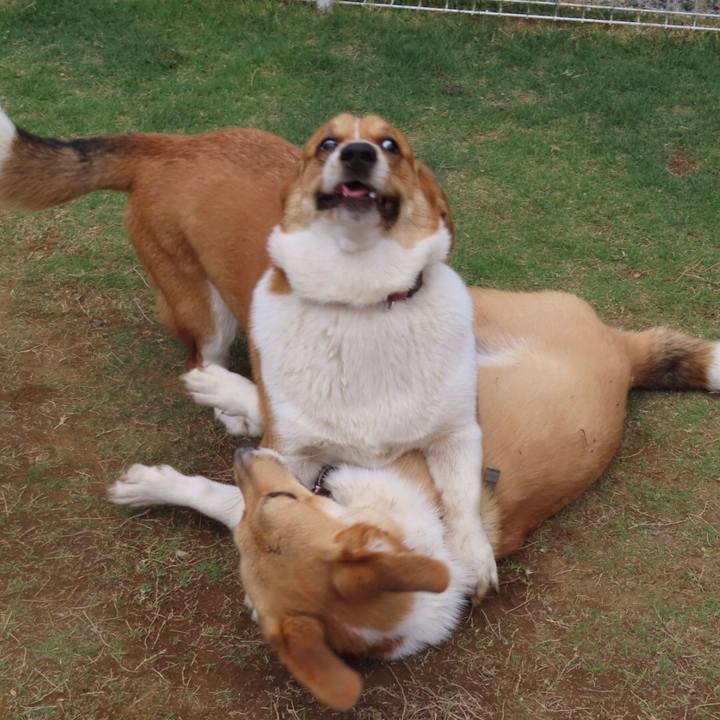 Fe8ab93a 0b0c 4db1 8cde a4a83f69ed52 1621556137878