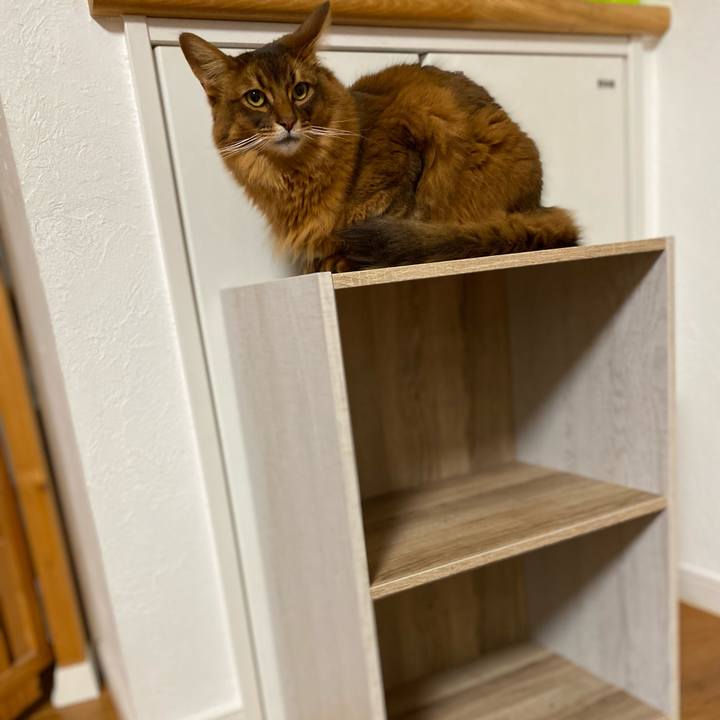 Fe8addff f0ac 4d84 b575 a83729761ca9 1681388458306