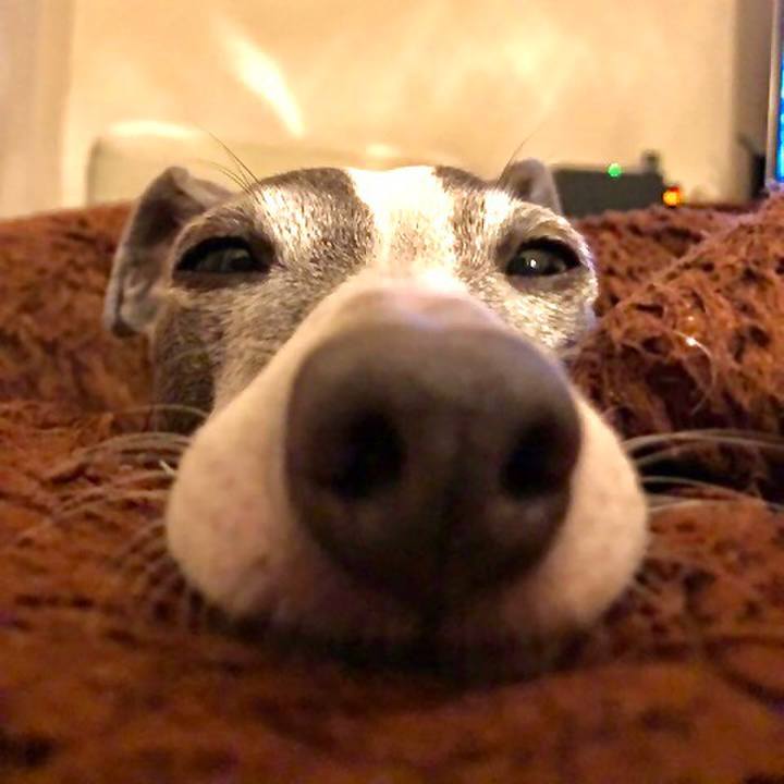 Fe8afab5 317c 4cdf af2c 15b8c539a5a9 1577364250366