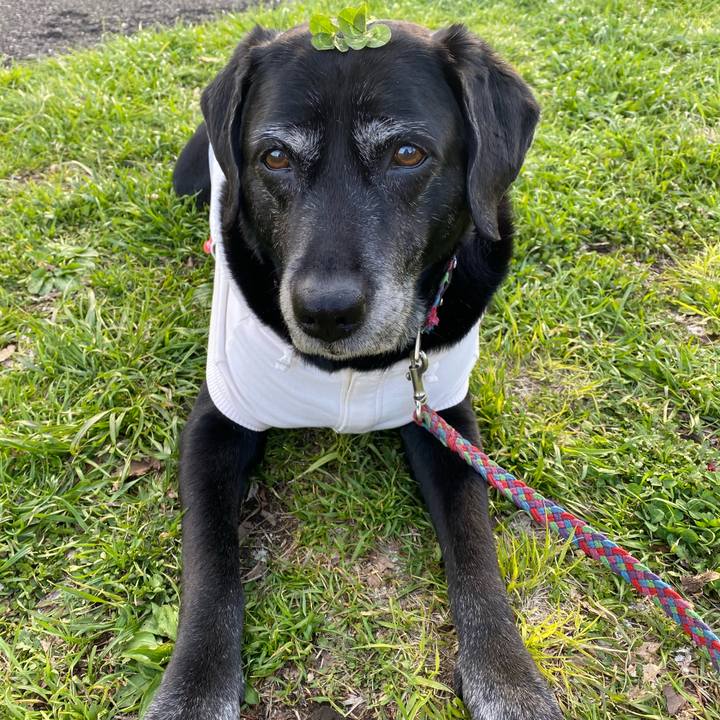 Fe8b13e2 dbbe 49e6 8771 13328426d32c 1649144052863