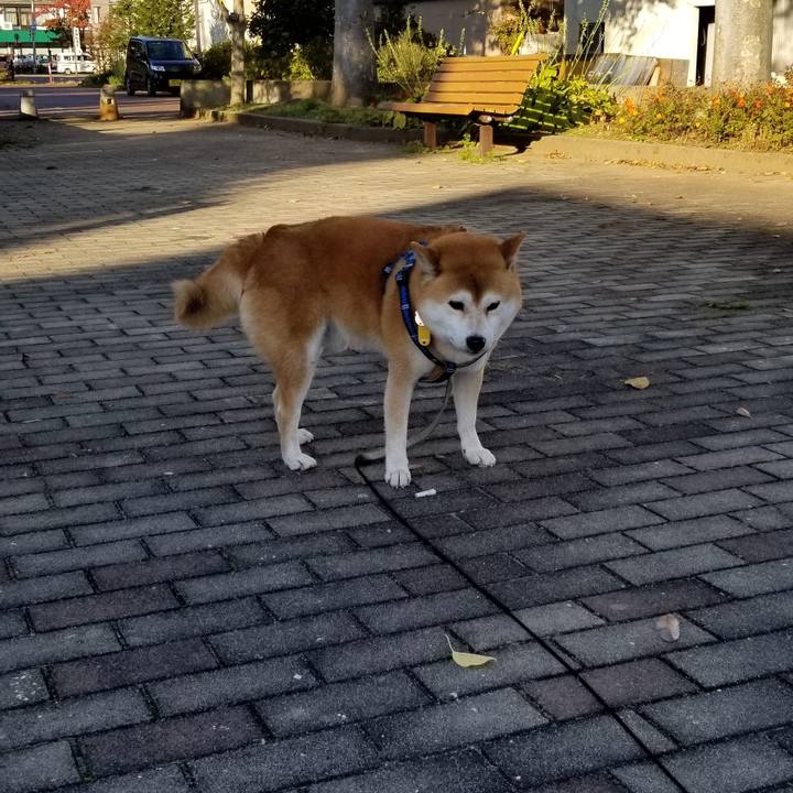 Fe8b2b92 d0af 47fe 8c62 a27d2bb8ba5f 1540708648852