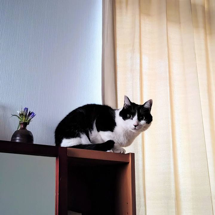 Fe8b6521 78b0 4b50 b133 b88f628bd79b 1761868879942