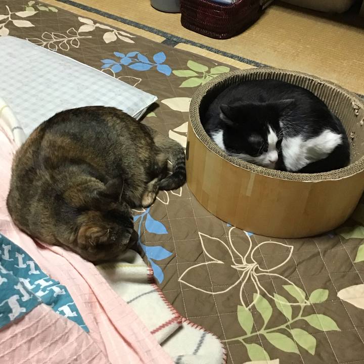 Fe8bc882 ade4 4ac6 aa11 089bafa58d39 1761903118352