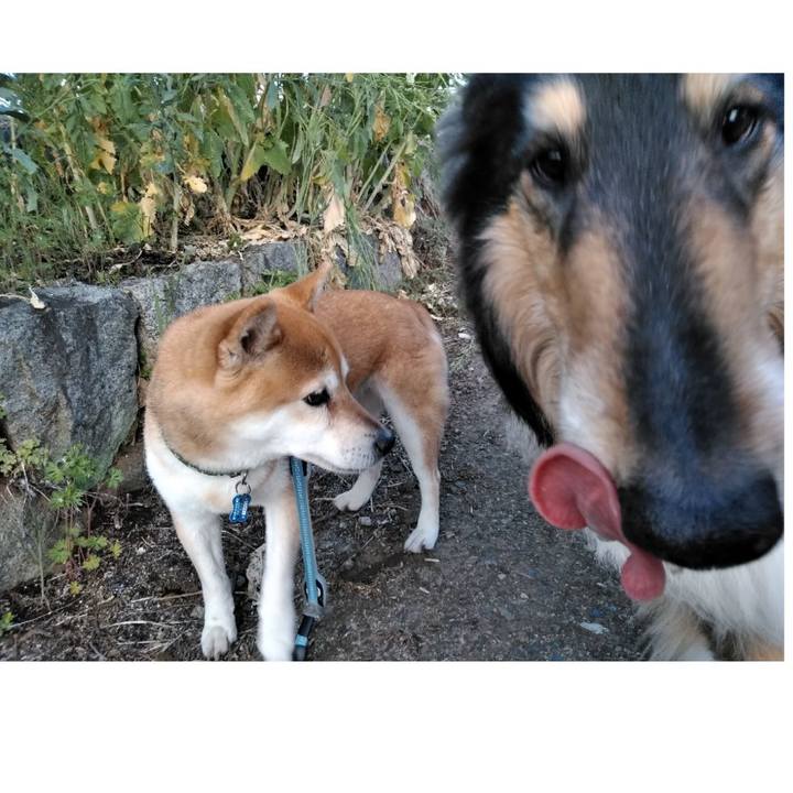 Fe8c1d0e 6c97 4896 942e 28d1cd7195ce 1557152116502