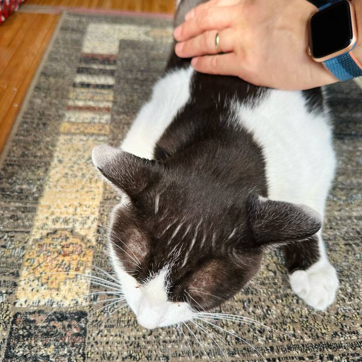 Fe8c30f0 2956 4d8b 93af 2b140a4c64cd 1692493893303