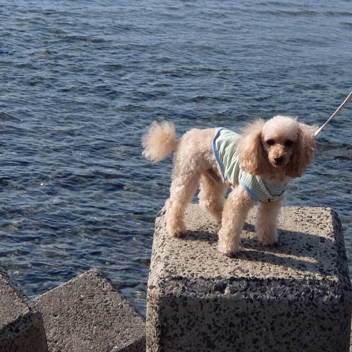 Fe8c645a fc2a 4c6d b2a5 84cb69e21bd7 1541896398561