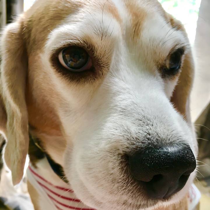 Fe8ca37f d357 4f85 97a8 d901cedb4c09 1746581899548