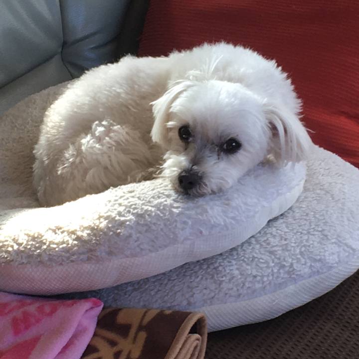 Fe8cce40 6e22 4f8a a4a7 00c65e3823ef 1580602604948