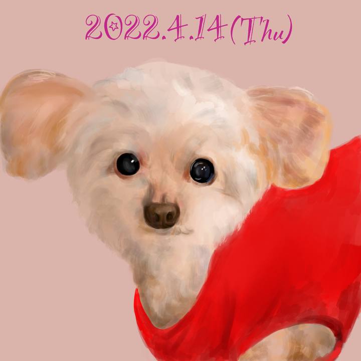 Fe8d4515 c8c9 496f a923 a0feb37ad218 1649941794883