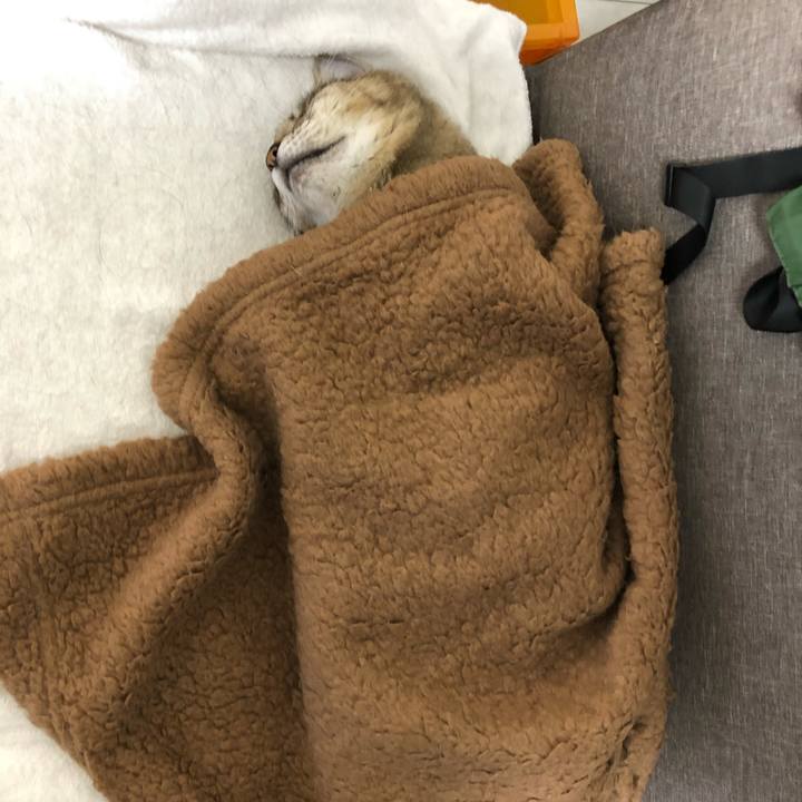 Fe8d554c 1a2d 4a4e 8619 8dea3bd1a7a3 1591091187479