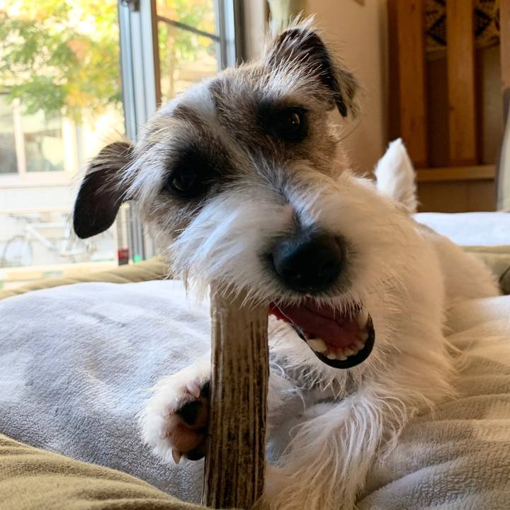 Fe8d662a a67b 4531 b7c1 c6c0b2ed3c22 1575415698710