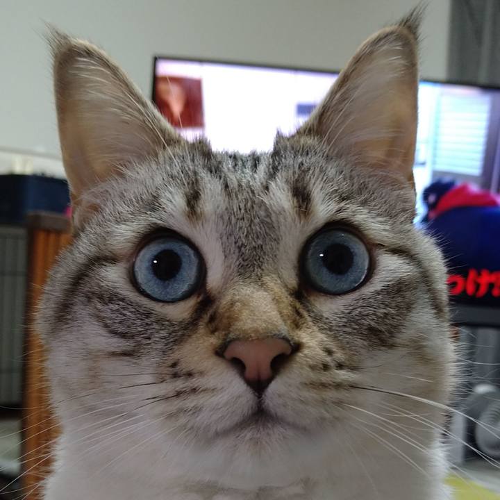 Fe8d8ce0 995b 4eb8 9c7d 36a7fb0d41d8 1618662356850