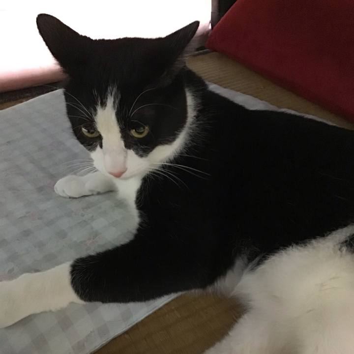 Fe8e2582 9001 4858 b097 cfa40cebc9f0 1690805219931