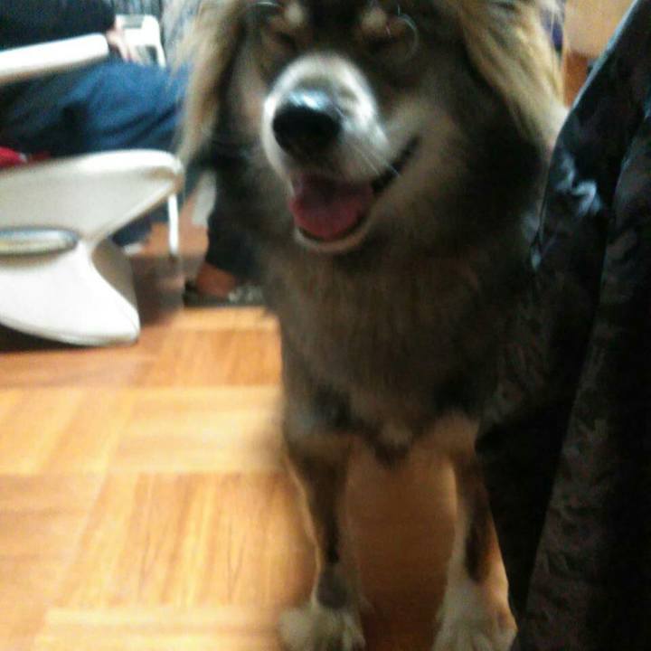 Fe8e3931 9c69 4f1e 8f96 b6c2d510d83f 1552711315442