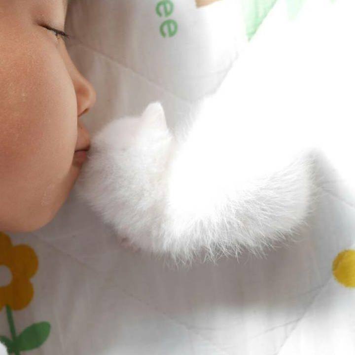 Fe8e430c bf9c 4618 b8c8 47da947964fd 1591335713961