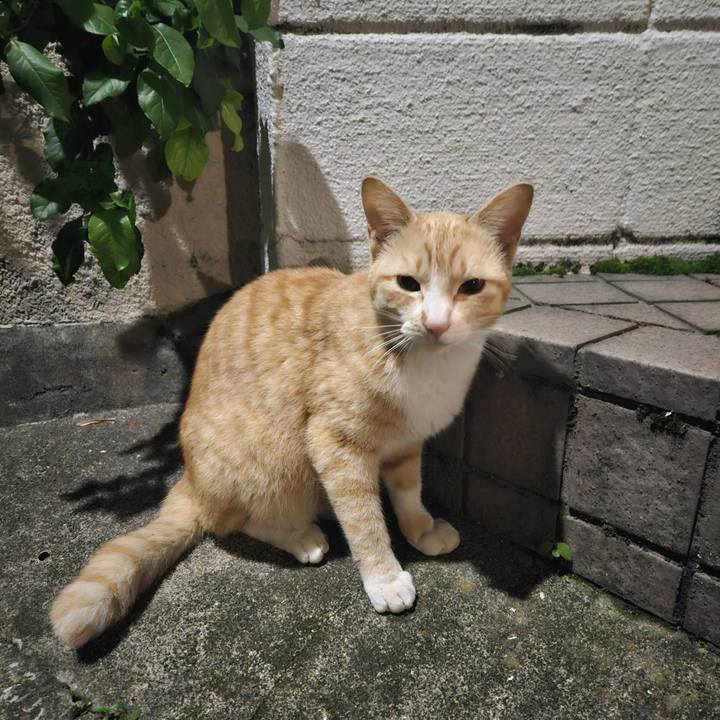 Fe8e551d 2378 4fcb 92f5 c6a55e519b23 1715253593324