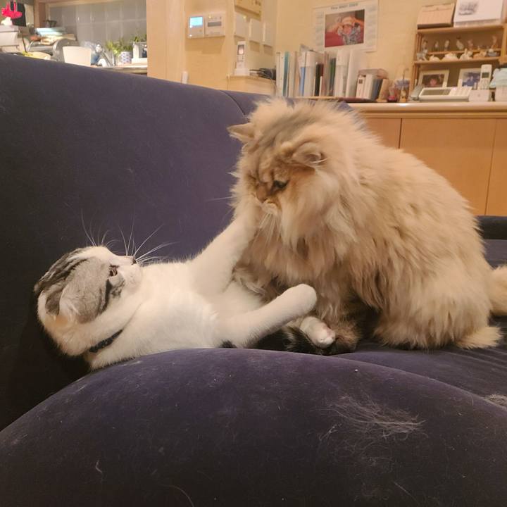 Fe8e670c 9c36 4117 9397 01a0edb46ca2 1640163739576