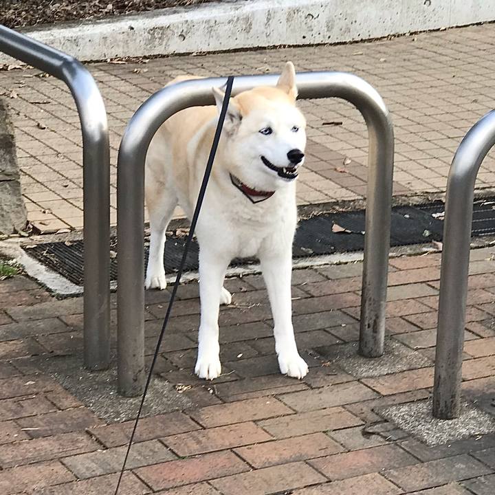 Fe8e9e31 9b42 4e63 879a 6804eb20c22e 1646277123703