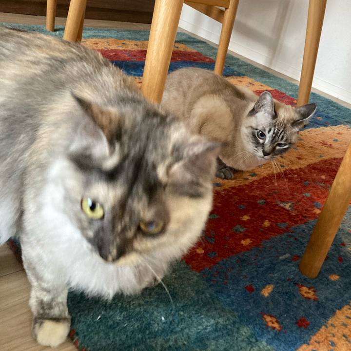 Fe8f16dc 6bbb 450e b0d4 1cb716136443 1768099878443