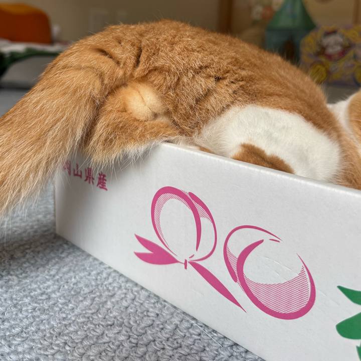 Fe8f28b4 66cc 4a63 82df 9dba557d5a20 1756780859949