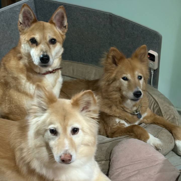 Fe8f763e 05ec 43f8 b6f9 b92e533b21b7 1747538939850