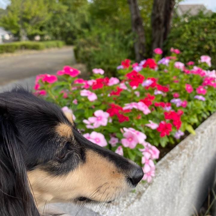 Fe8f8971 29ae 48ae 86de ca815b78965f 1759020029973