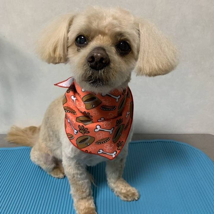 Fe8fab8b f7d1 4aa4 937a 7f778f3765f3 1749383828830