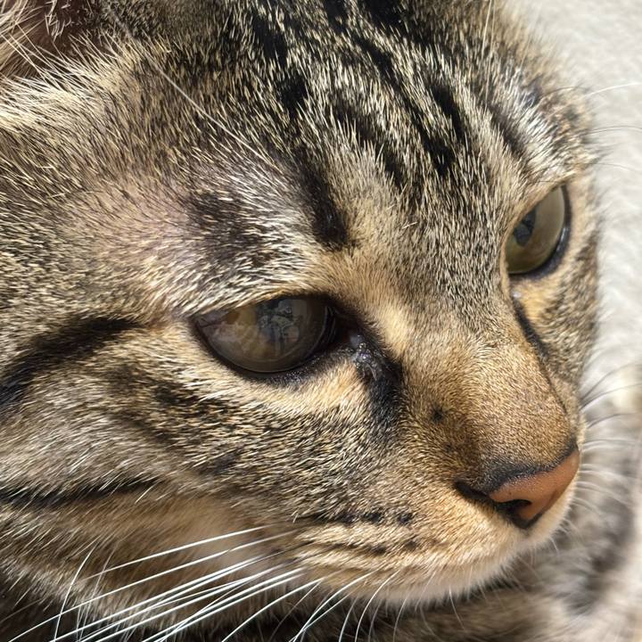 Fe8fb24a 937e 4ab5 893c 53ff6d2d540e 1769225649586