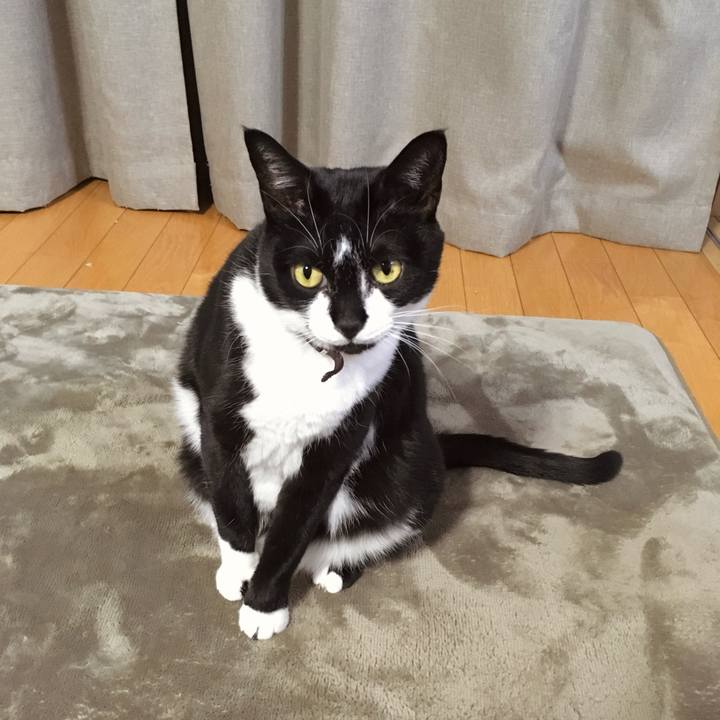 Fe901f9f 9af0 4dd9 a239 10e5b1d1ed9e 1772023560400