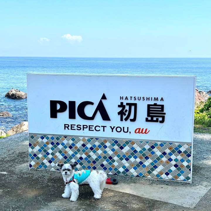 Fe906889 2cff 43a9 b076 65f5594e97a9 1683200451642