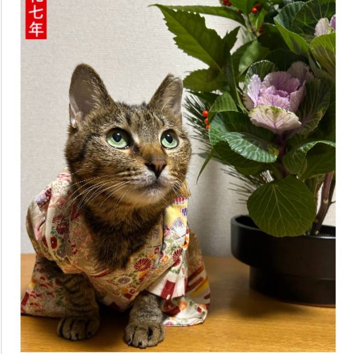 Fe90796f 5644 4c9e 8831 607fa48e9ae5 1735786169172