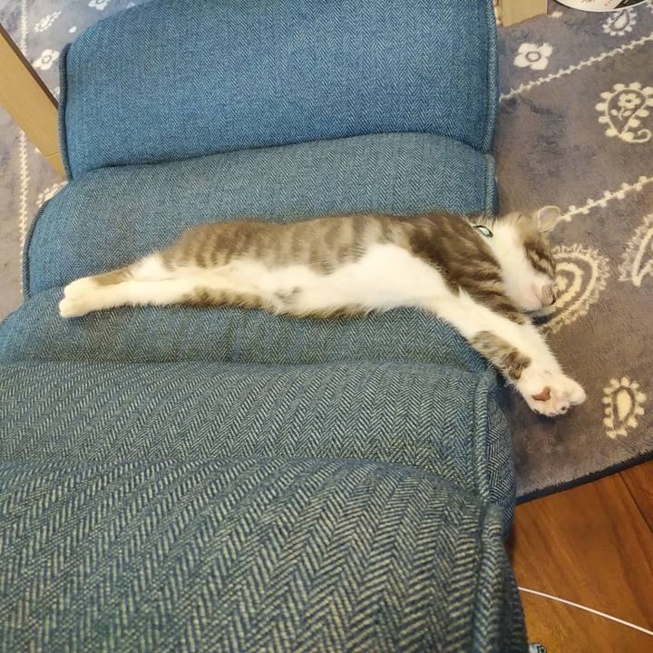 Fe90943f 1194 4bdd b01c 4b5d26f7a21c 1562135565528