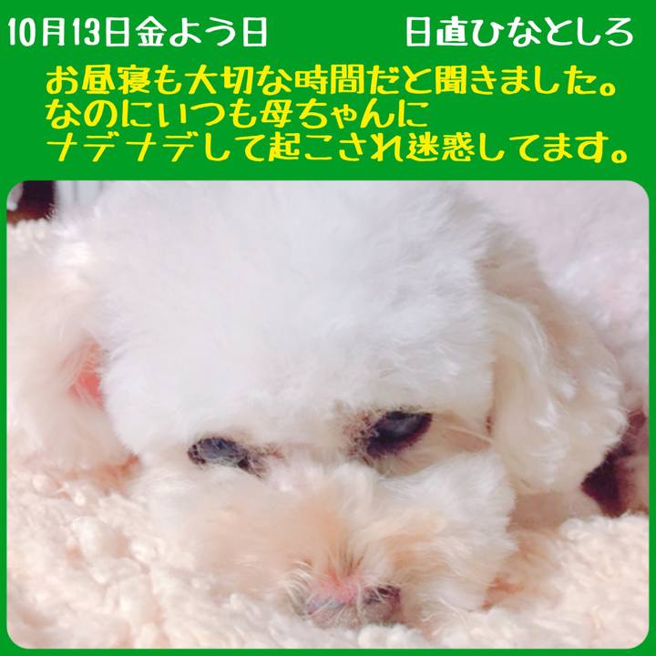 Fe90a56a b572 44bc 99aa 6a8f075f5d18 1507871215660