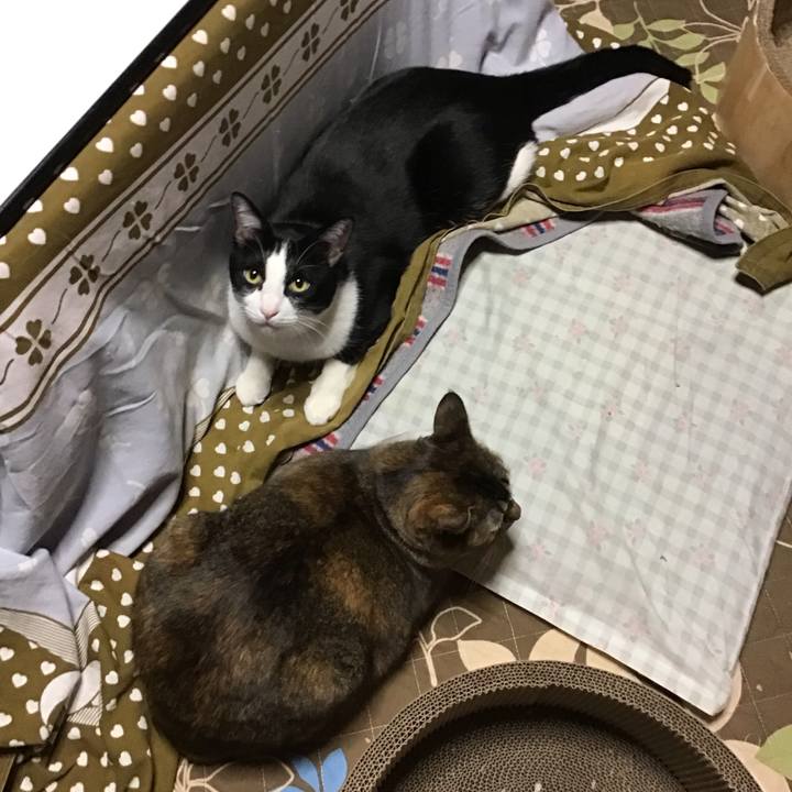 Fe912008 86de 4948 a2c4 533989f2ad5a 1734698013938