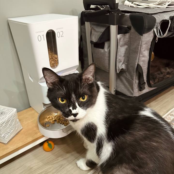 Fe914d18 3a86 46e3 b955 22b16fc2af49 1777032564545