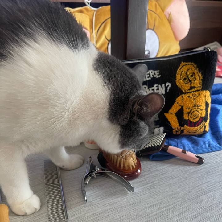 Fe915bdb dd1d 4b5c a4ba 02e704e9f994 1755999518565