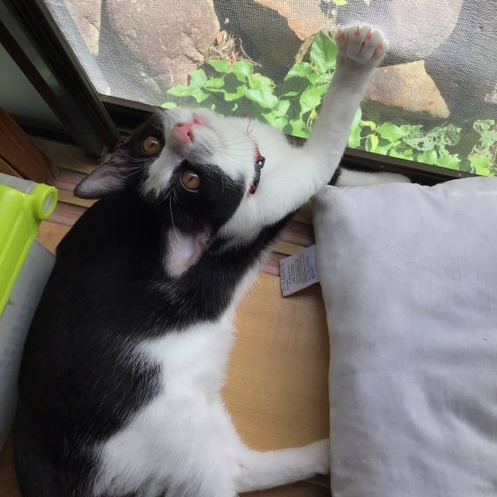 Fe9161bb 57c4 4489 b8a2 3155bacb4240 1629453862470