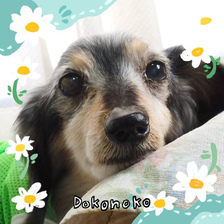 Fe917560 3adb 4cb0 beff 48ac0a1cbcc3 1712304163825