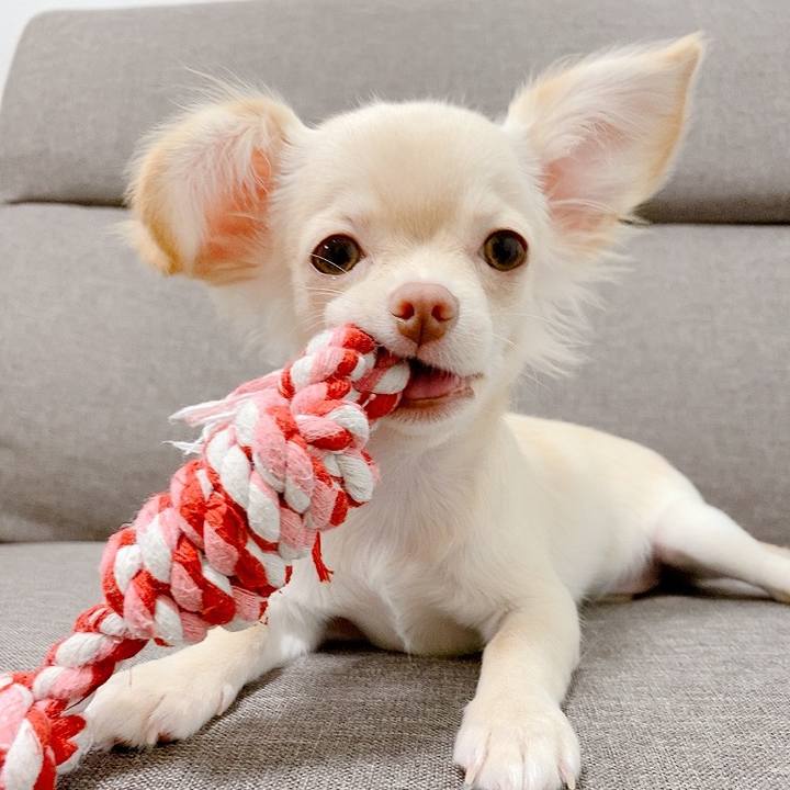 Fe917d95 c736 4571 b7b0 982a276b63c9 1593765881043